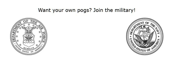 Screenshot 2025-05-05 210942.jpg