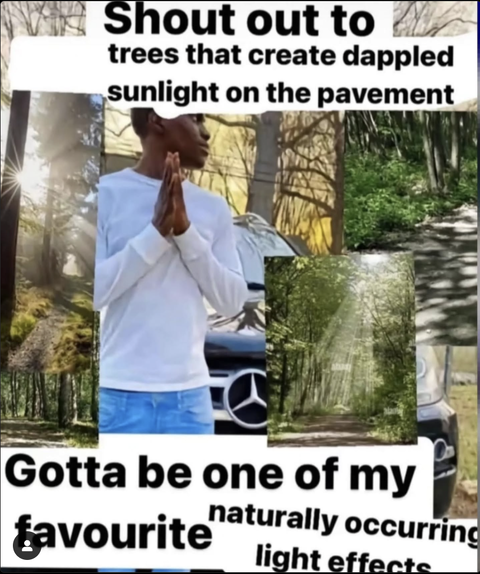1746691746653.png