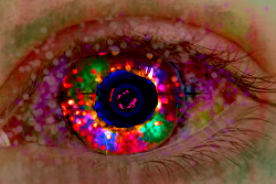 eye.png