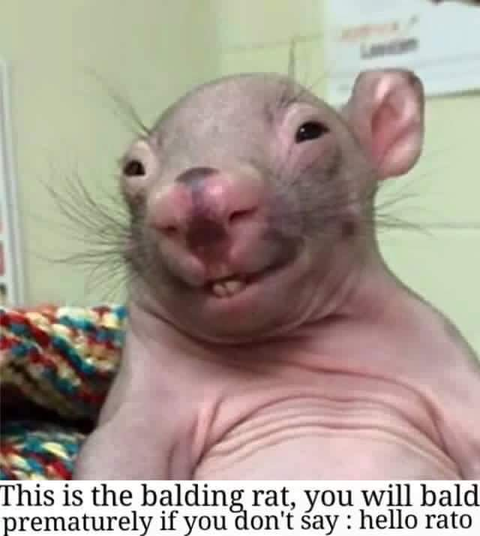 1748555164200-1.png