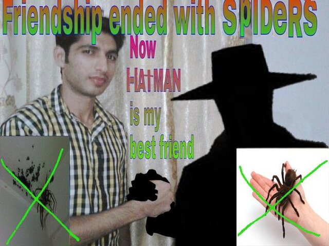friendship ended with spiders.jpg