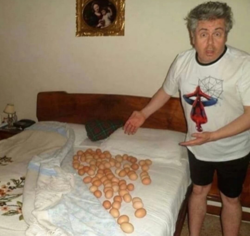 eggs in bed.png