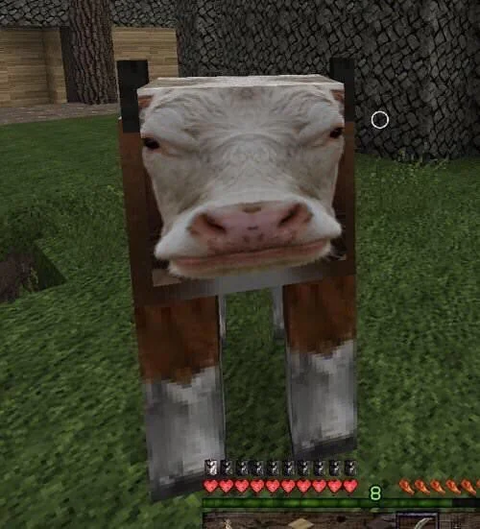 cow.png