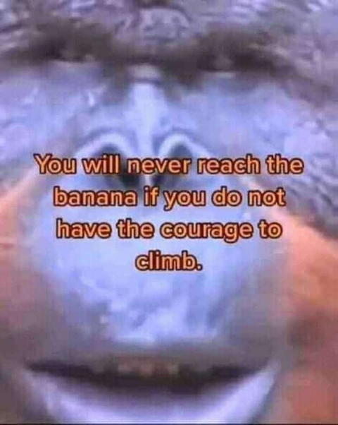 20240410_185913.png