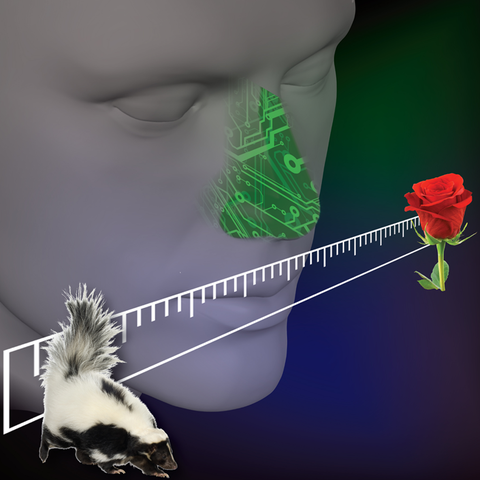 An_Electronic_Nose_Estimates_Odor_Pleasantness.png