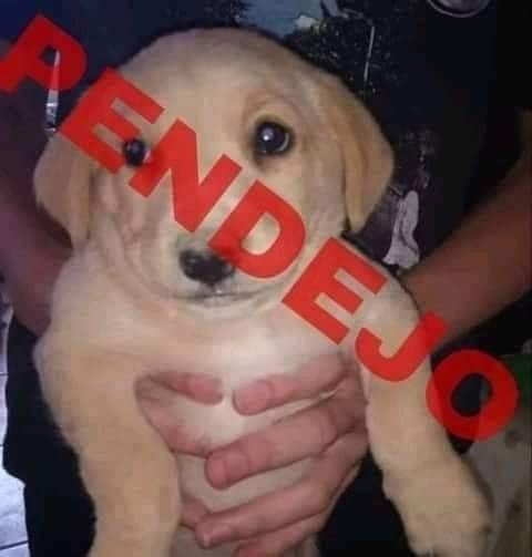 1736375050353.png