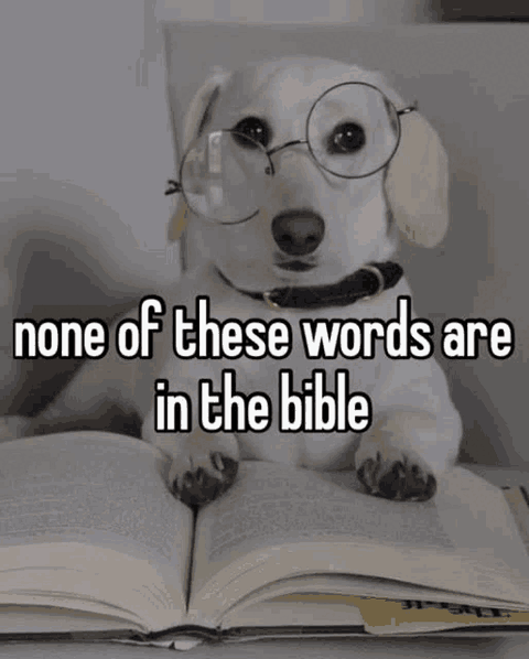 1719164354119675.gif