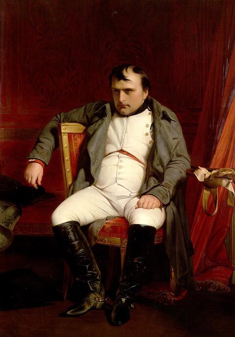 t5_09ter_napoleon_fontainebleau_full-tt-width-716-height-1024-fill-0-crop-0-bgcolor-eeeeee-laz...jpg