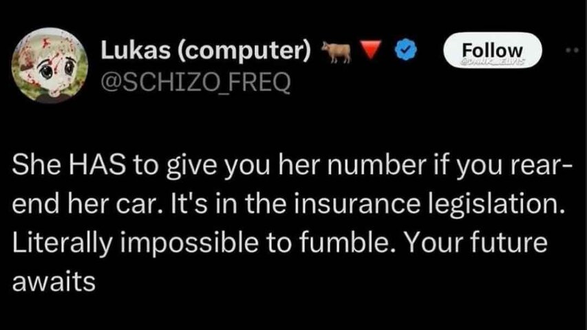 1740812175533.jpeg