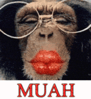 muah.gif