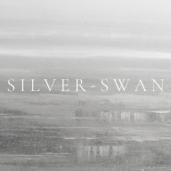 Silverswan