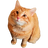 Raduque
