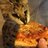 Pizzer_Cat
