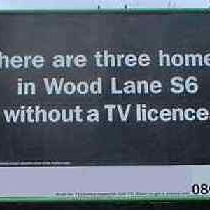 woodlane.jpg