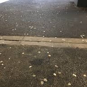 gum.jpg