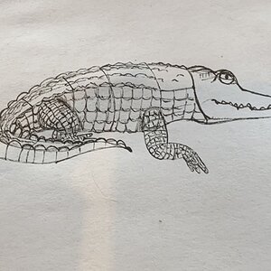 Croc.jpeg