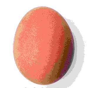 Chicken_egg_2009-06-04.jpg