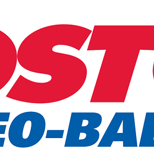 CostcoNeoBabylonLogo.png
