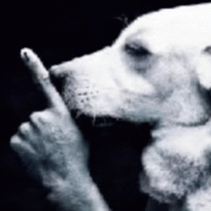 shhh.gif