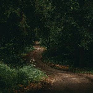 wallhaven-gpgmo7.jpg