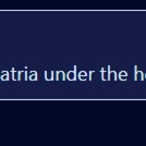 Self-aware Language.jpg