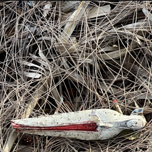thing found at crackden.png