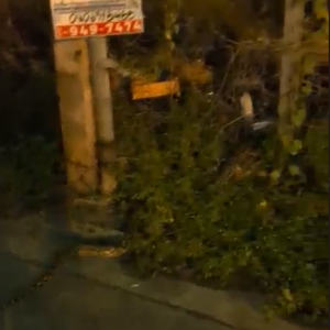 1790874664550.png