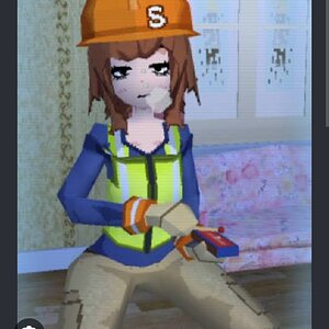 Screenshot_20261030_193335_Chrome.jpg